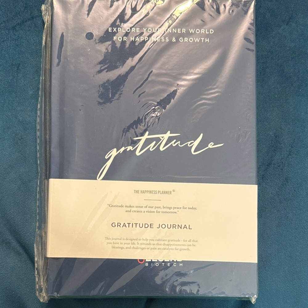 Blue Gratitude Journal by